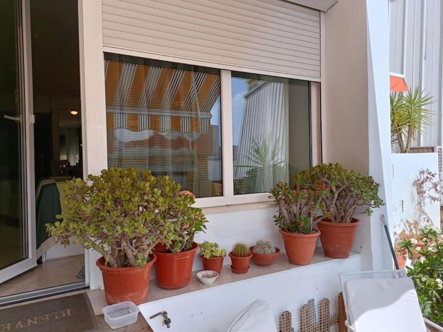Tranquility Center By Namaste Elite Apartamento